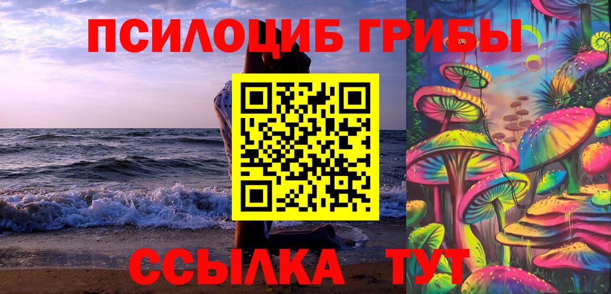 Галлюциногенные грибы Magic Shrooms  Вход с VPN  сколько стоит  Качканар  Псилоцибиновые грибы мицелий 